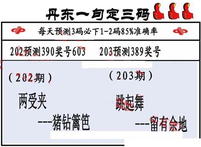 3d203期:丹东一句定三码