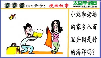 3d177期:黑圣手图谜